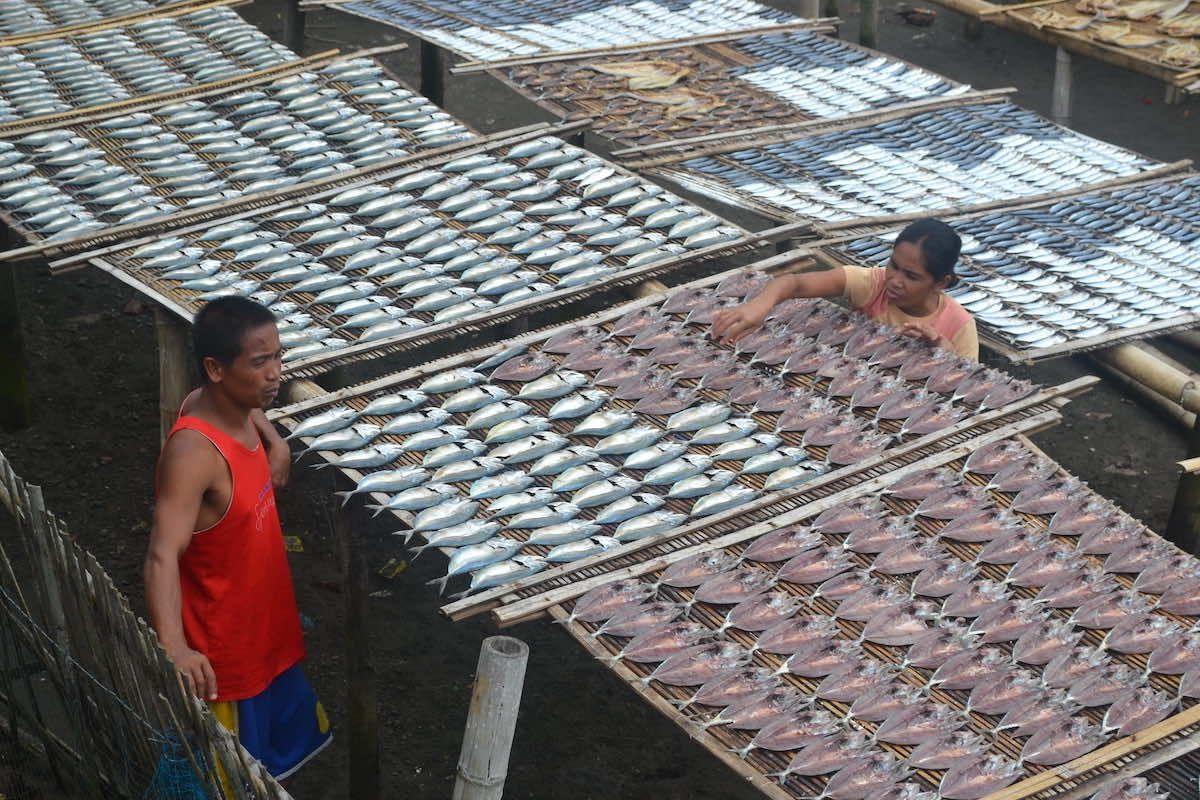 The industry of dried seafood