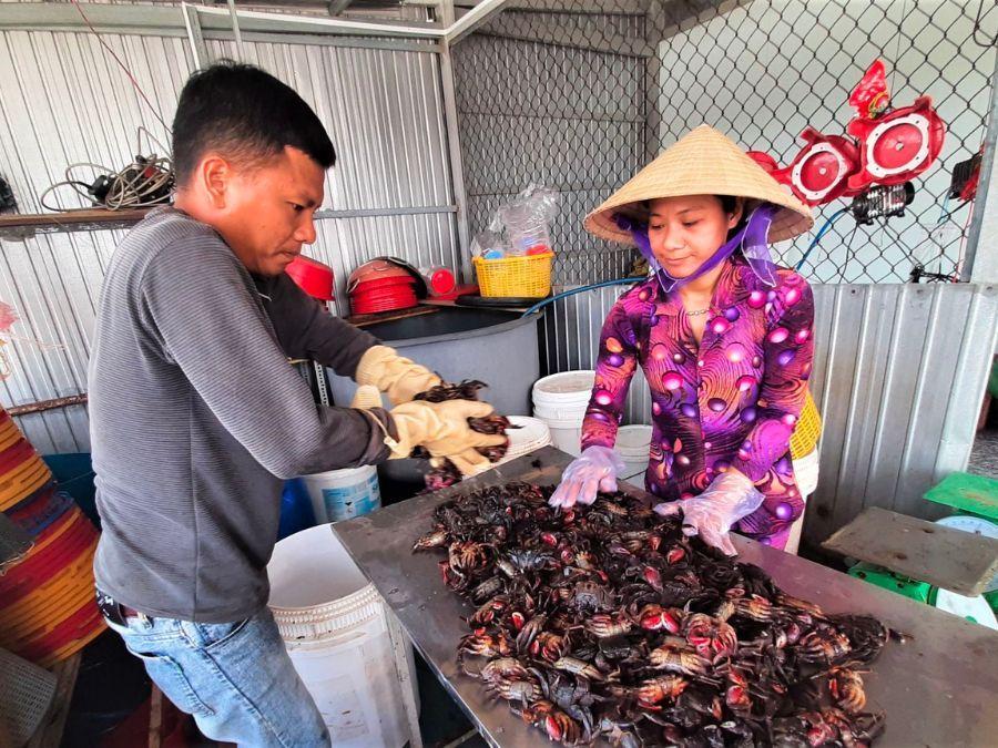 Fermented seafood sauce making craft